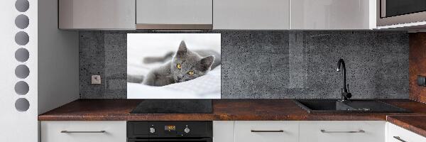 Pannello paraschizzi cucina con motivo di gatto grigio