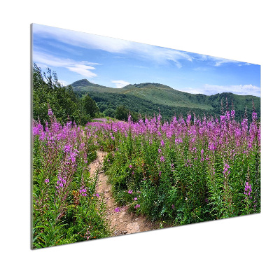 Pannello retrocucina con stampa Colline verdi