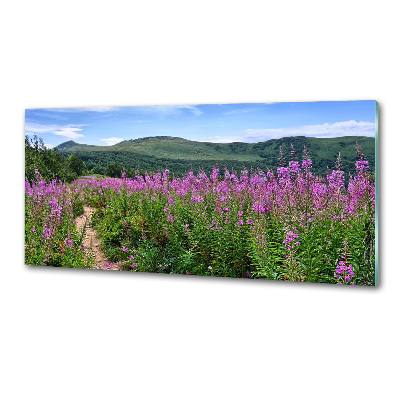 Pannello retrocucina con stampa Colline verdi