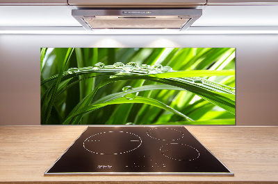 Pannello paraschizzi cucina con motivo 