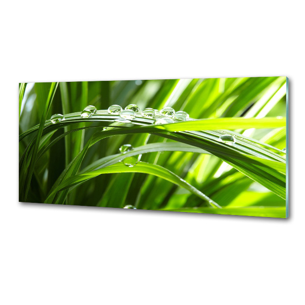 Pannello paraschizzi cucina con motivo 