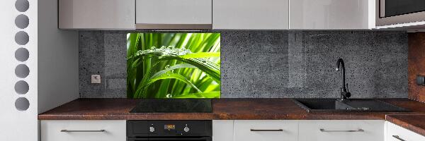 Pannello paraschizzi cucina con motivo 