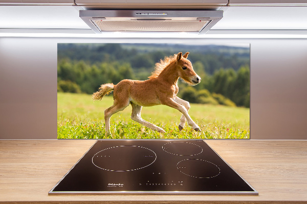 Pannello retrocucina con stampa raffigurante un puledro al galoppo