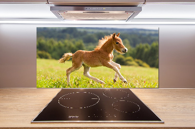 Pannello retrocucina con stampa raffigurante un puledro al galoppo