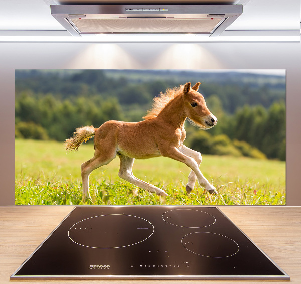 Pannello retrocucina con stampa raffigurante un puledro al galoppo