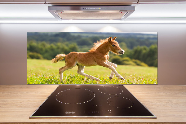 Pannello retrocucina con stampa raffigurante un puledro al galoppo