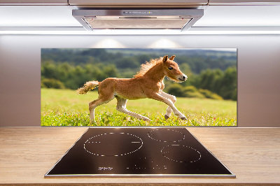 Pannello retrocucina con stampa raffigurante un puledro al galoppo