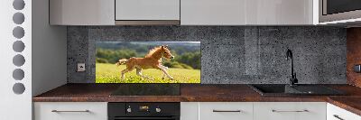 Pannello retrocucina con stampa raffigurante un puledro al galoppo