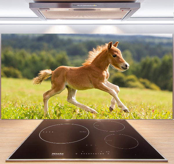 Pannello retrocucina con stampa raffigurante un puledro al galoppo