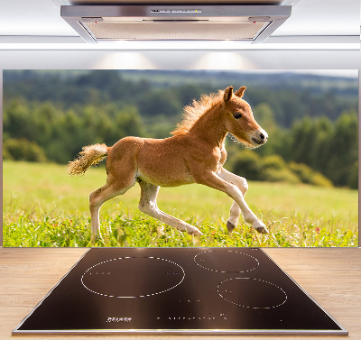 Pannello retrocucina con stampa raffigurante un puledro al galoppo