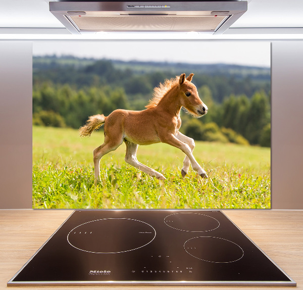 Pannello retrocucina con stampa raffigurante un puledro al galoppo