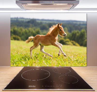 Pannello retrocucina con stampa raffigurante un puledro al galoppo