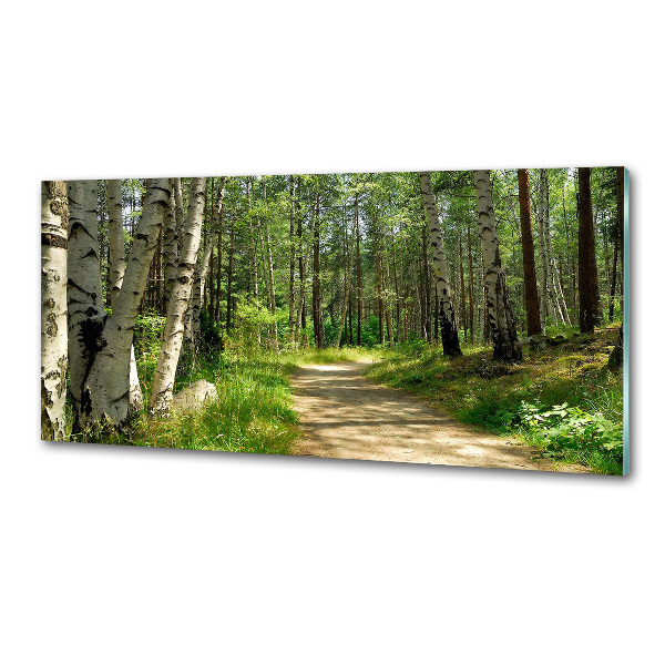 Rivestimento parete cucina con motivo Sentiero nella foresta