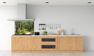 Rivestimento parete cucina con motivo Sentiero nella foresta