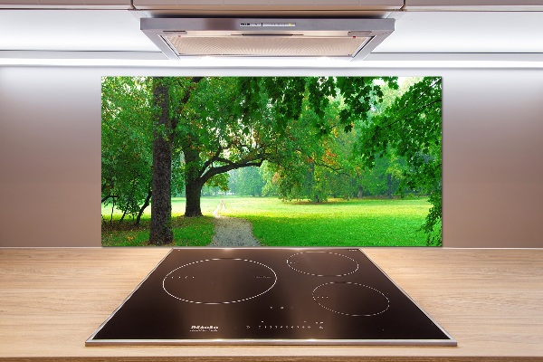 Rivestimento parete cucina con decorazione 