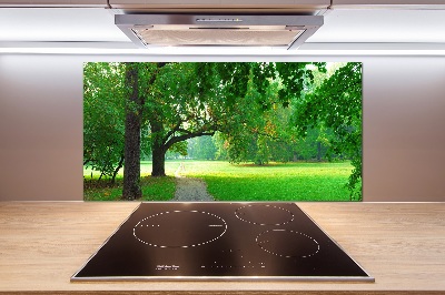 Rivestimento parete cucina con decorazione 