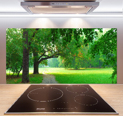 Rivestimento parete cucina con decorazione 