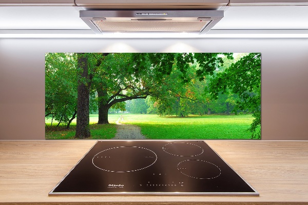 Rivestimento parete cucina con decorazione 