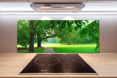 Rivestimento parete cucina con decorazione 