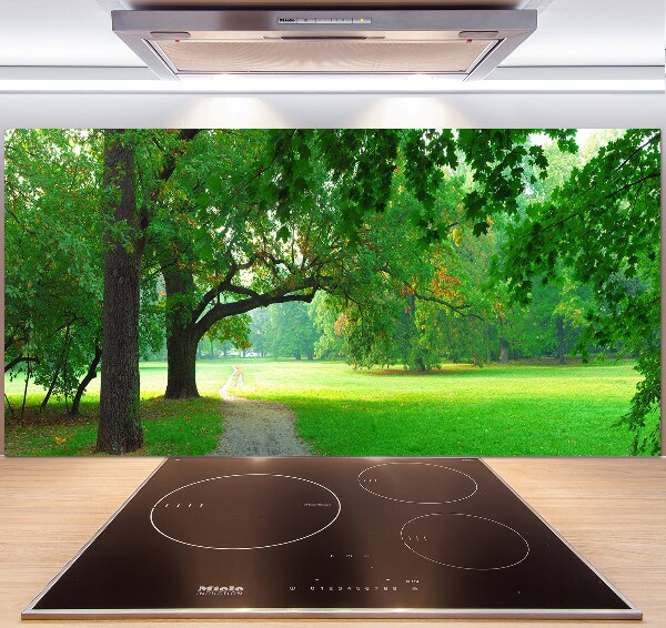 Rivestimento parete cucina con decorazione 