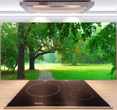 Rivestimento parete cucina con decorazione 