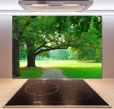 Rivestimento parete cucina con decorazione 