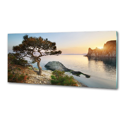 Pannello retrocucina con stampa raffigurante un albero sulla riva del mare