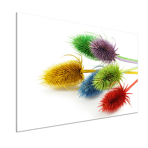 Pannello paraschizzi cucina con motivo a cardo