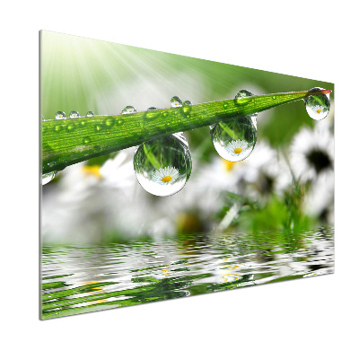 Rivestimento parete cucina con motivo 