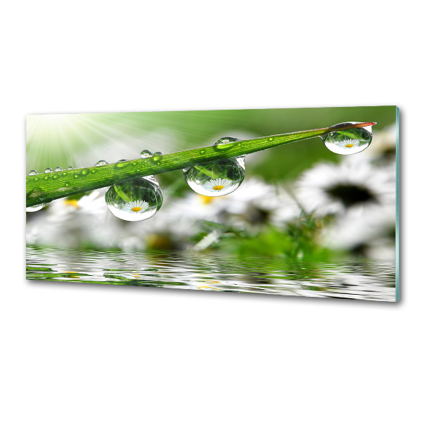 Rivestimento parete cucina con motivo 