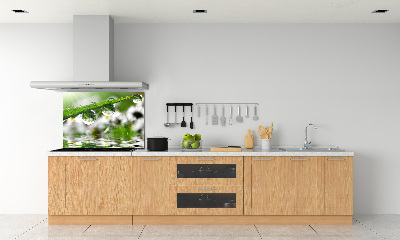 Rivestimento parete cucina con motivo 