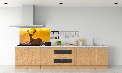 Rivestimento parete cucina con finitura Alba di cervo