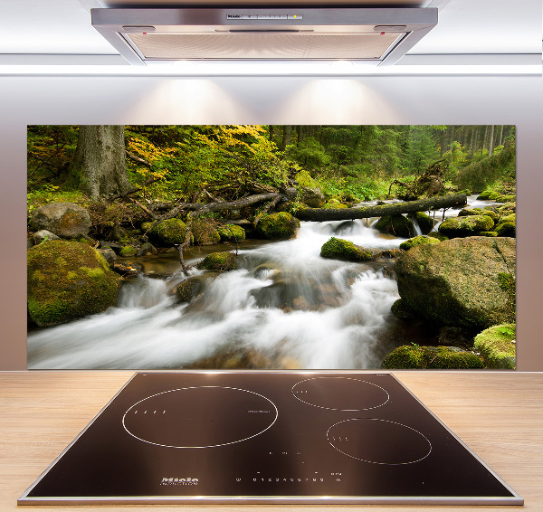 Pannello paraschizzi cucina con stampa 'Torrente Olczyski'