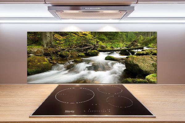 Pannello paraschizzi cucina con stampa 'Torrente Olczyski'