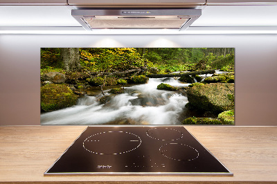 Pannello paraschizzi cucina con stampa 'Torrente Olczyski'