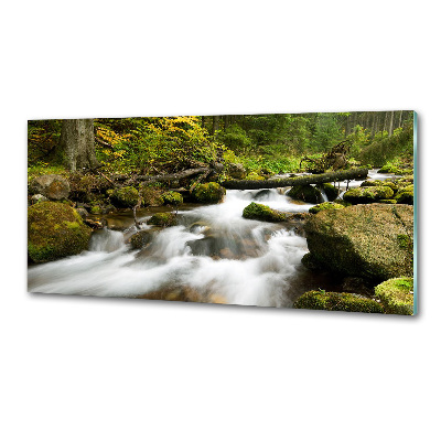 Pannello paraschizzi cucina con stampa 'Torrente Olczyski'