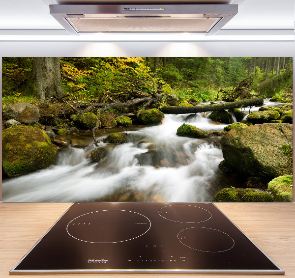 Pannello paraschizzi cucina con stampa 'Torrente Olczyski'