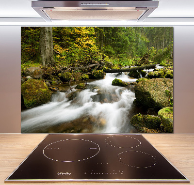 Pannello paraschizzi cucina con stampa 'Torrente Olczyski'