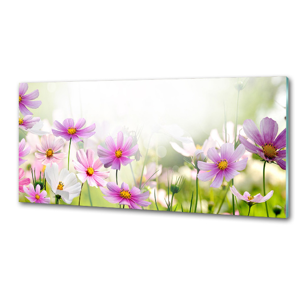 Pannello retrocucina con stampa raffigurante fiori nel prato