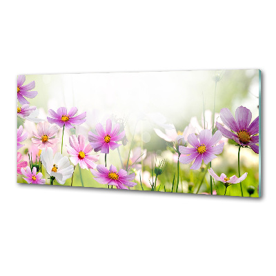 Pannello retrocucina con stampa raffigurante fiori nel prato