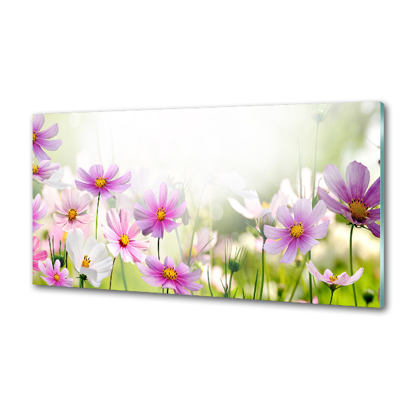 Pannello retrocucina con stampa raffigurante fiori nel prato