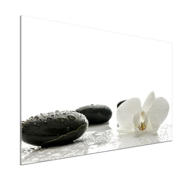 Pannello paraschizzi cucina con motivo orchidea