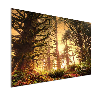 Pannello retrocucina con motivo foresta pluviale