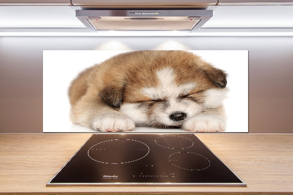 Pannello paraschizzi cucina con stampa a motivo Cucciolo di Akita