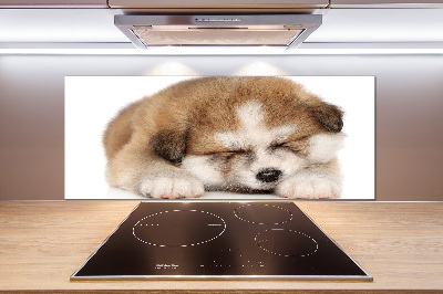 Pannello paraschizzi cucina con stampa a motivo Cucciolo di Akita
