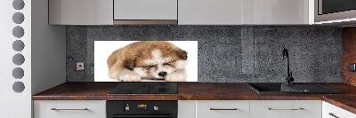 Pannello paraschizzi cucina con stampa a motivo Cucciolo di Akita