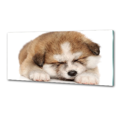 Pannello paraschizzi cucina con stampa a motivo Cucciolo di Akita