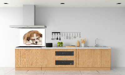 Pannello paraschizzi cucina con stampa a motivo Cucciolo di Akita