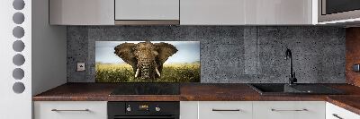 Rivestimento parete cucina con stampa raffigurante un elefante nella savana