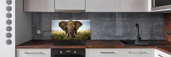Rivestimento parete cucina con stampa raffigurante un elefante nella savana